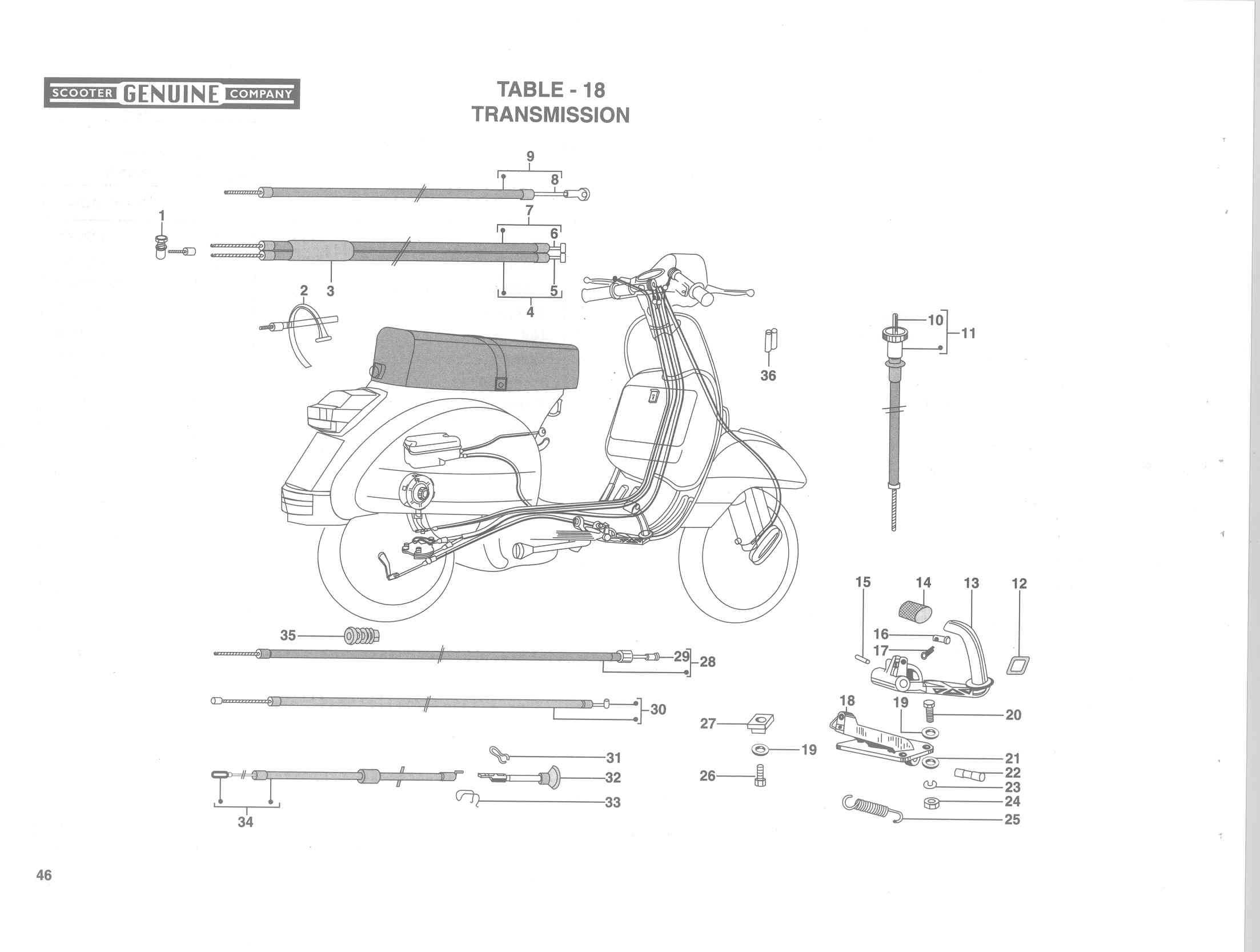 Genuine Stella Transmission