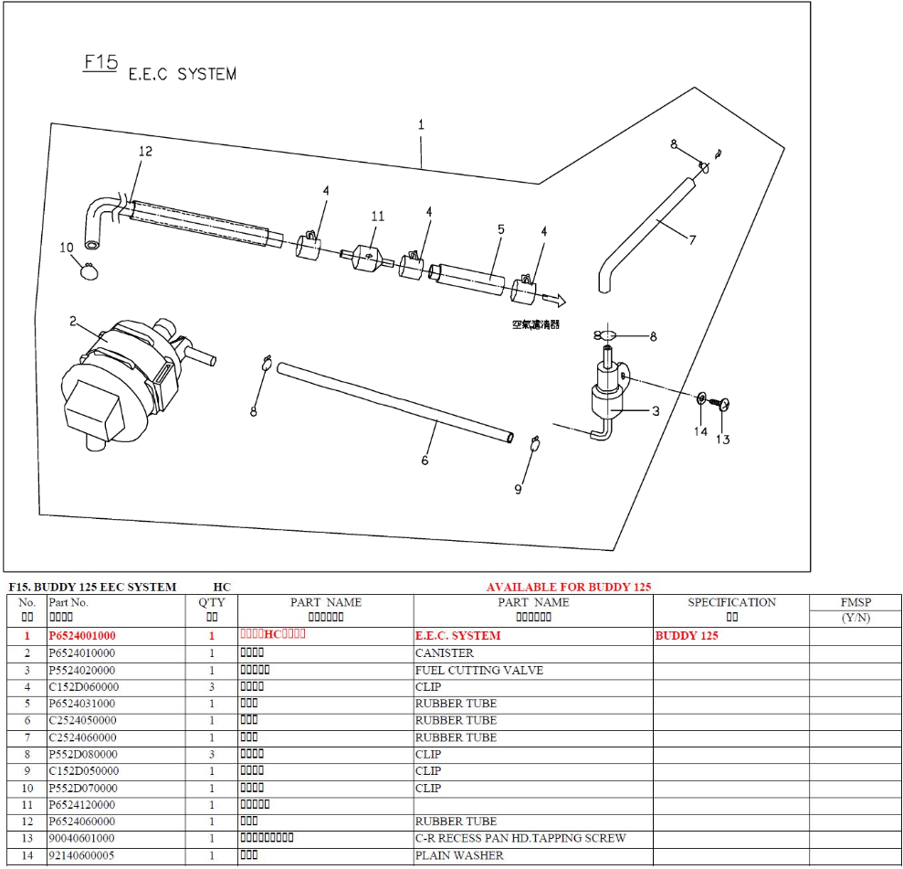 Buddy 125 EEC System (Iron Tank)