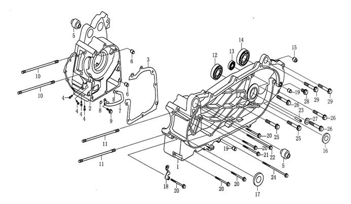 Qlink Pegasus 150 Crankcase