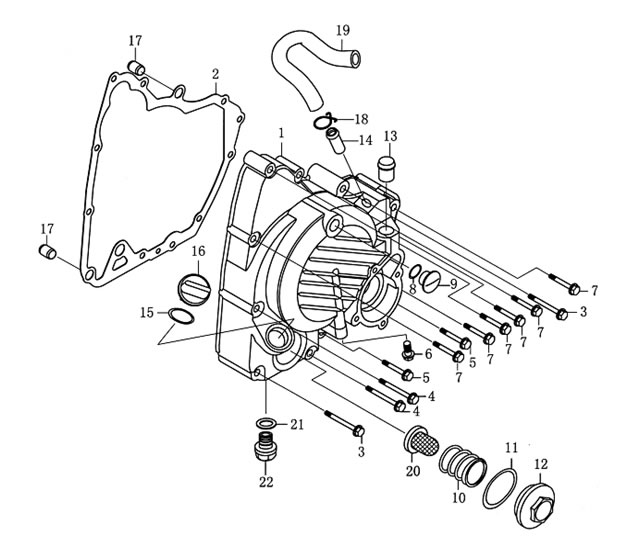 Qlink Pegasus 150 Right Side Cover