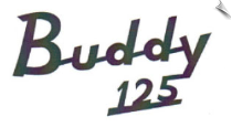 Buddy 125 Sticker